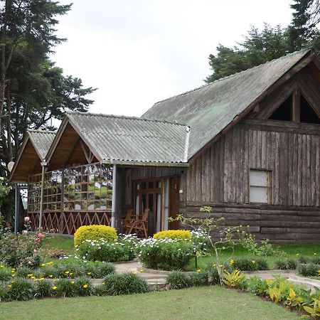 Calamander Lake Gregory Nuwara Eliya Buitenkant foto